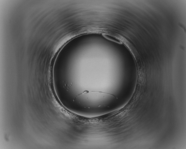 X0000100971147200806241545