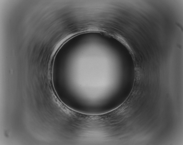 X0000100971148200806241545