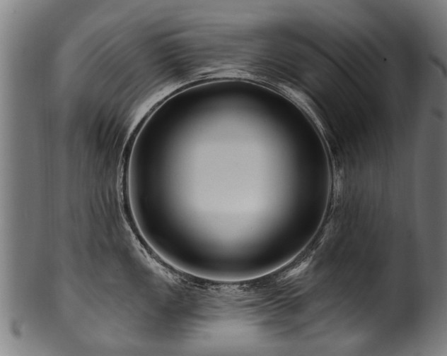 X0000100971149200806241545