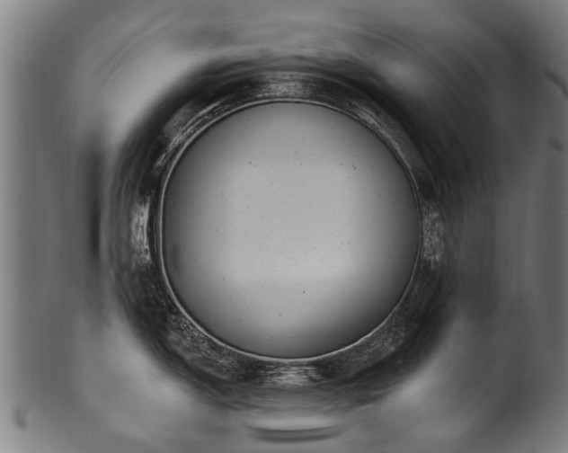 X0000100971150200806241545