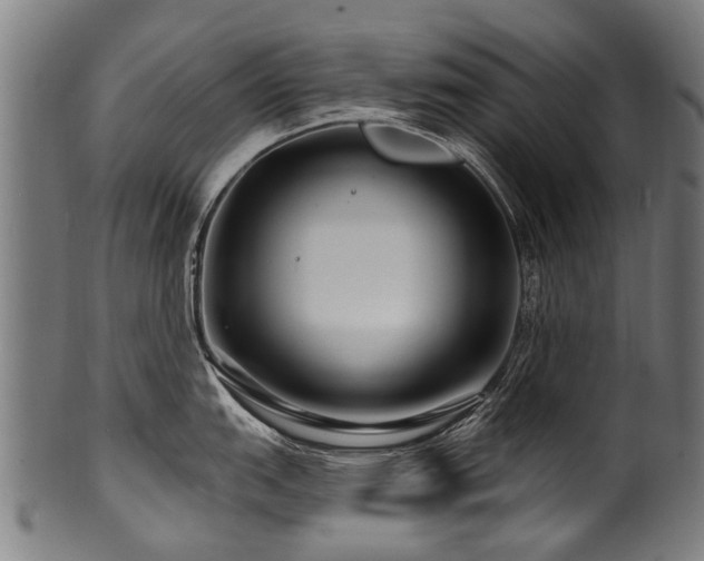 X0000100971151200806241545