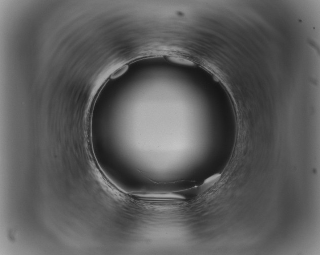 X0000100971152200806241545