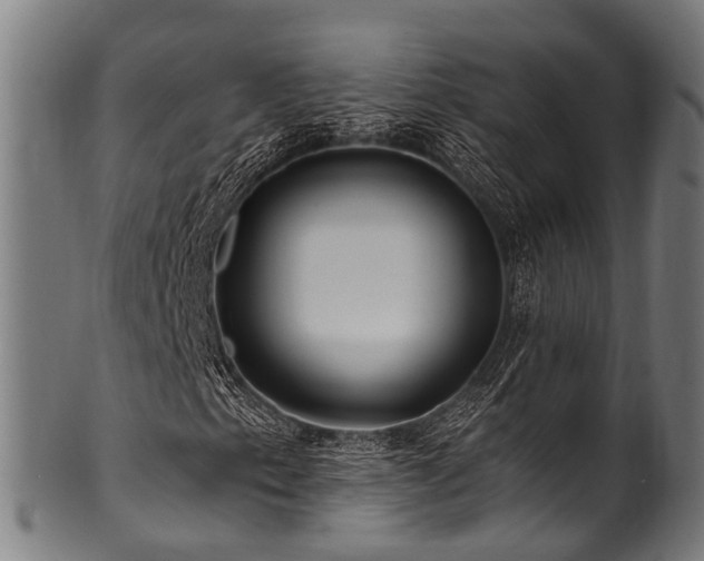 X0000100971153200806241544