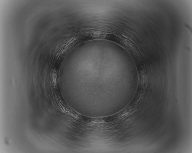 X0000100971154200806241544