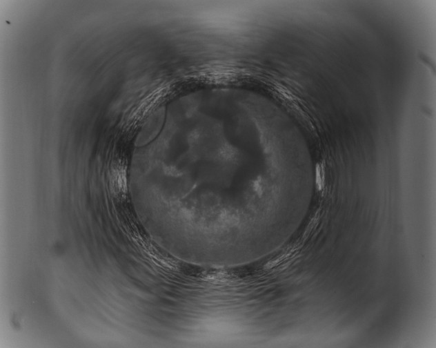 X0000100971155200806241544