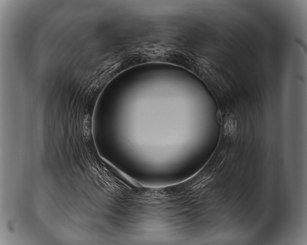 X0000100971156200806241544