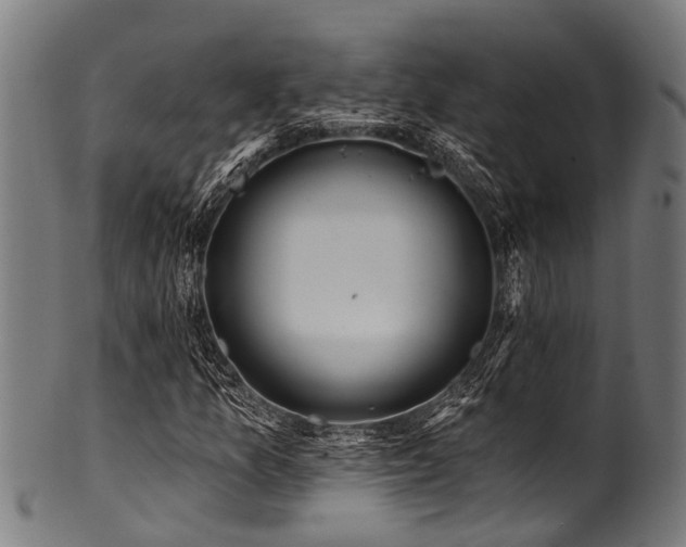 X0000100971157200806241544