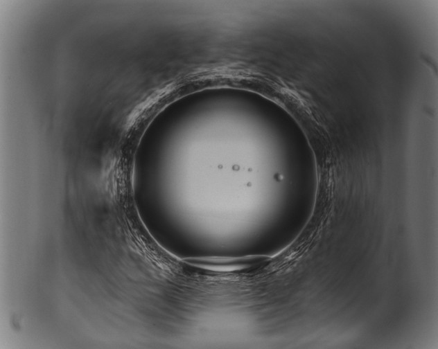 X0000100971159200806241544