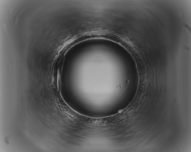 X0000100971160200806241544