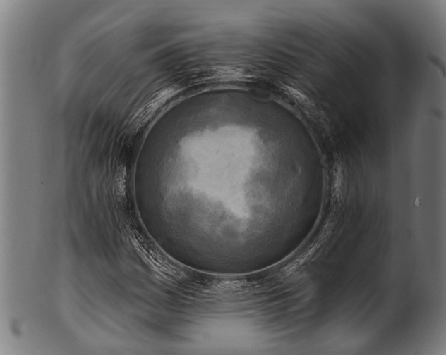 X0000100971161200806241544