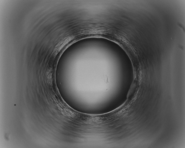 X0000100971162200806241544