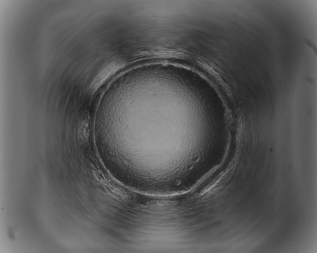 X0000100971163200806241544