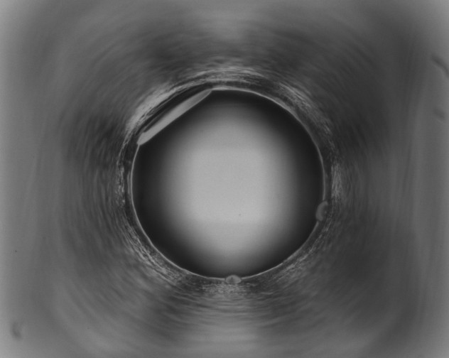 X0000100971164200806241544