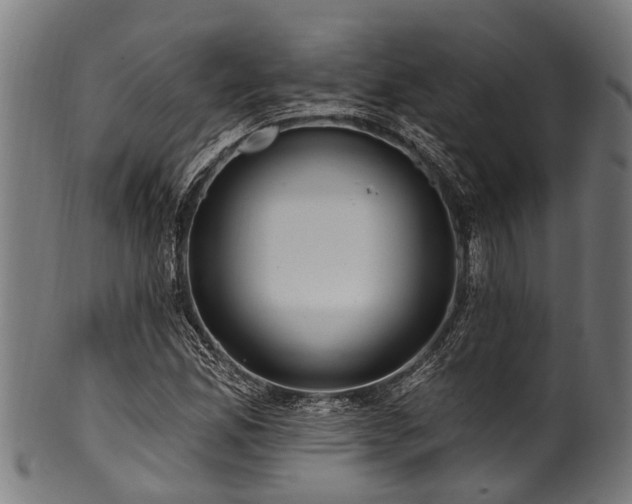 X0000100971165200806241544