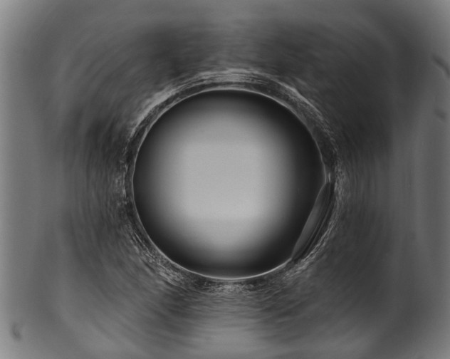 X0000100971166200806241544