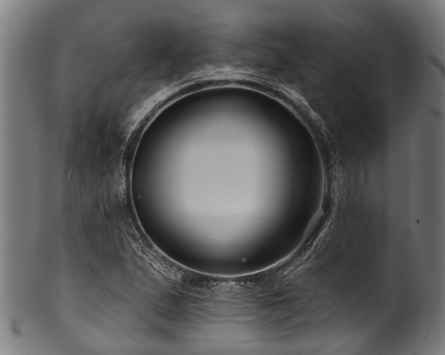 X0000100971167200806241544