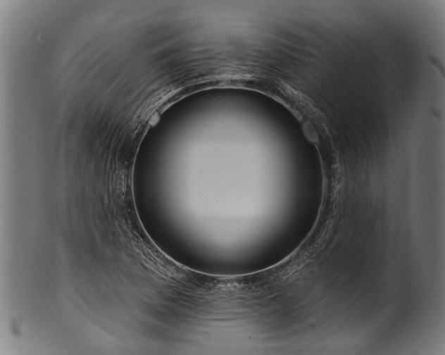 X0000100971169200806241544