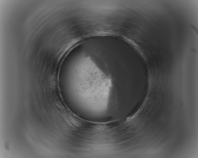 X0000100971170200806241544