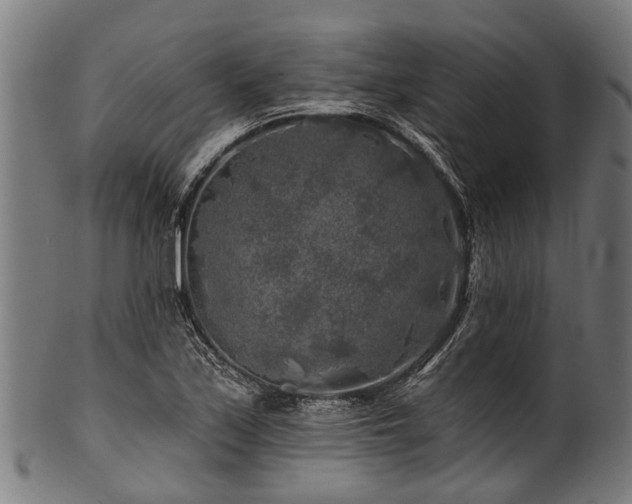 X0000100971171200806241544