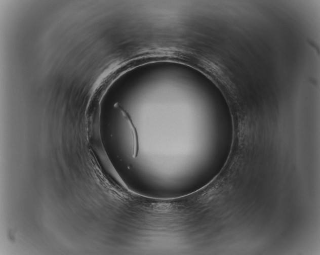 X0000100971172200806241544