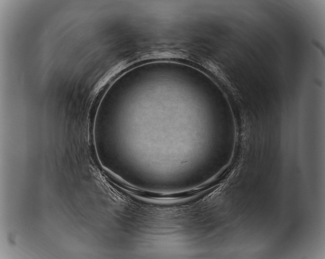 X0000100971173200806241544