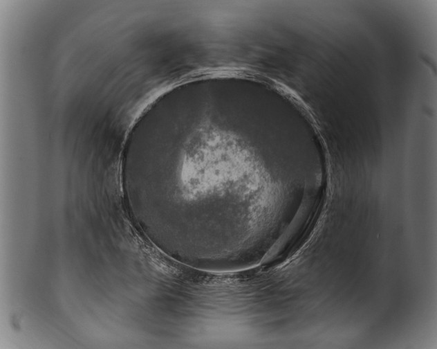 X0000100971174200806241544