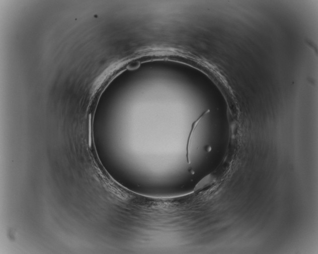 X0000100971175200806241544