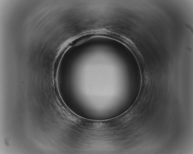 X0000100971176200806241544