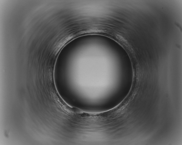 X0000100971177200806241544