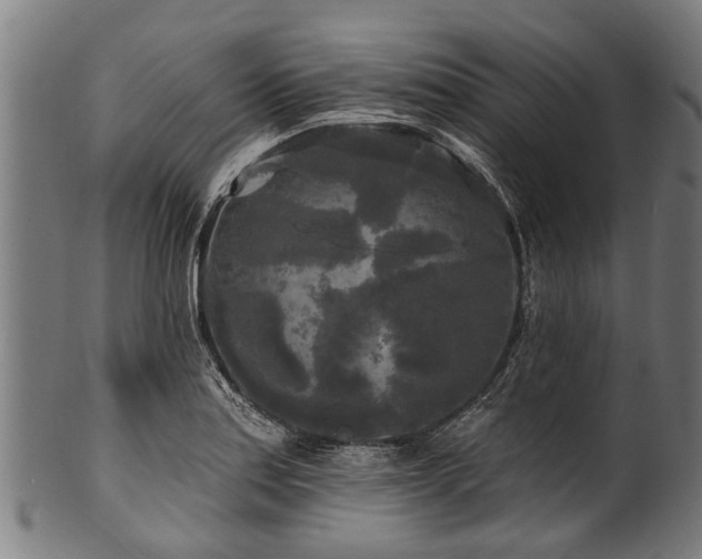 X0000100971179200806241544