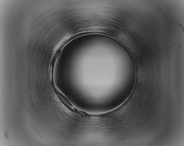 X0000100971180200806241544