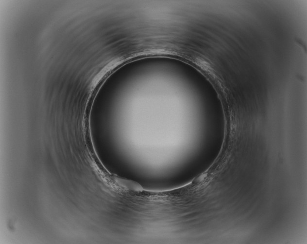 X0000100971181200806241544