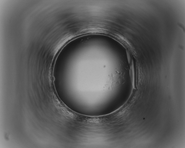 X0000100971182200806241544