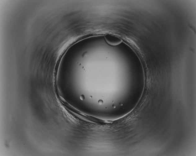 X0000100971183200806241544