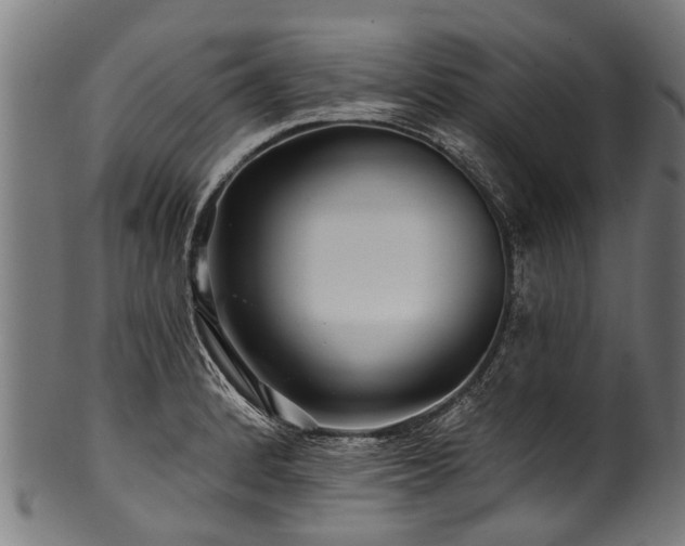 X0000100971184200806241544