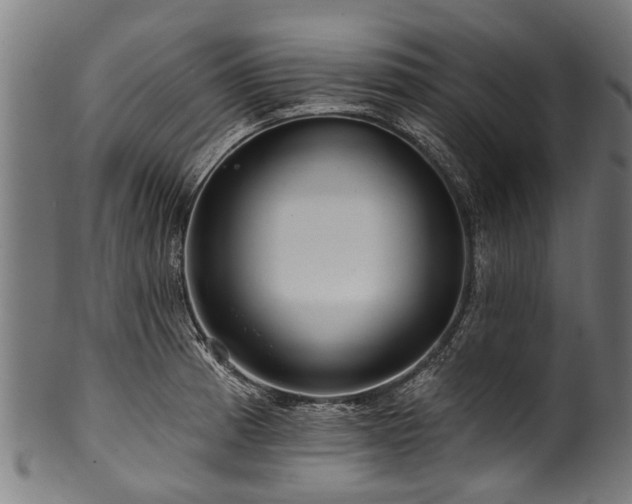 X0000100971185200806241544