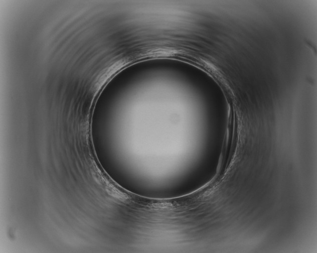 X0000100971186200806241544