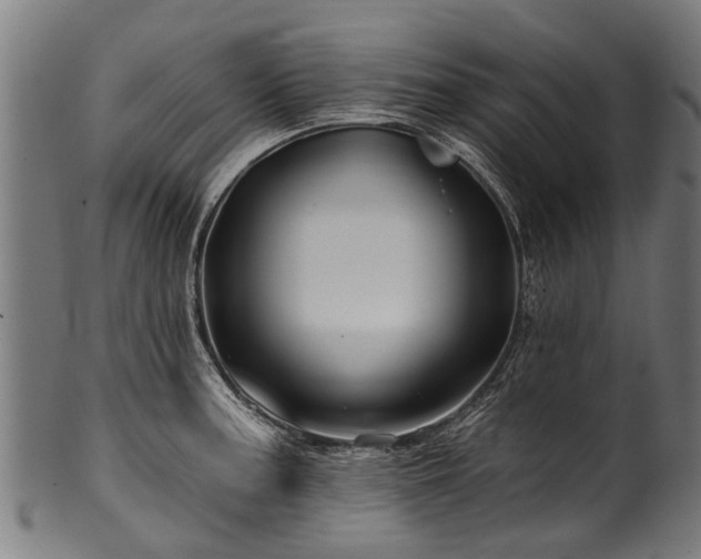 X0000100971187200806241544