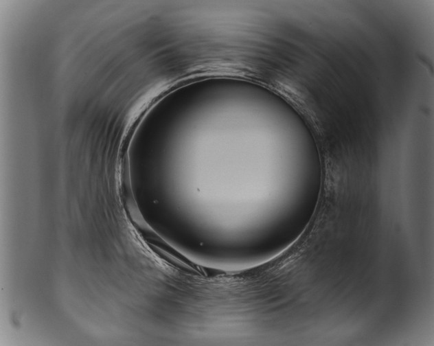 X0000100971188200806241544