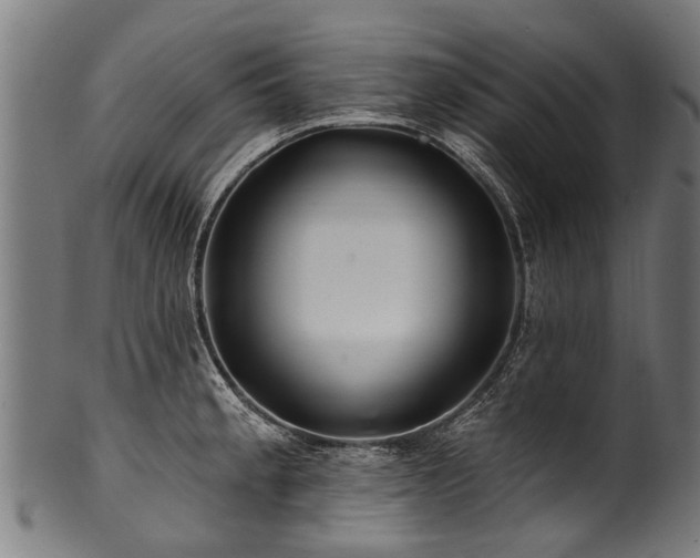 X0000100971189200806241544