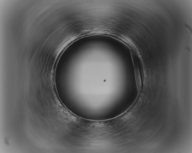 X0000100971190200806241544