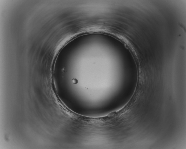 X0000100971191200806241544