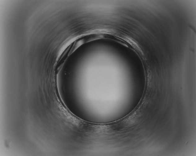 X0000100971192200806241544