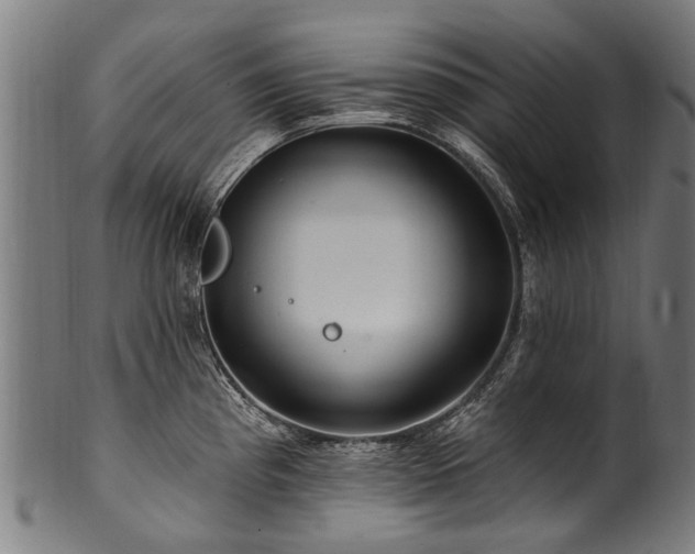 X0000100971193200806241544