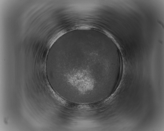 X0000100971194200806241544