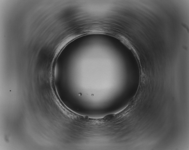 X0000100971195200806241544