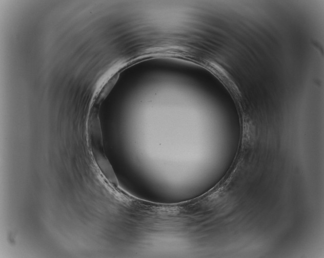 X0000100971196200806241544