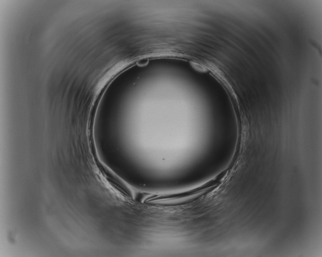 X0000100971197200806241544