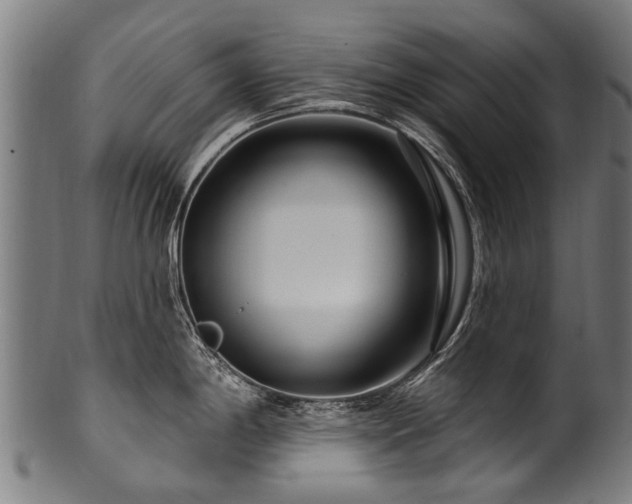 X0000100971198200806241544