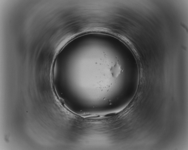 X0000100971199200806241544